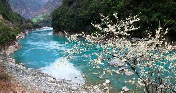 俄农业部:俄罗斯2023年鲑鱼捕捞量全球居冠